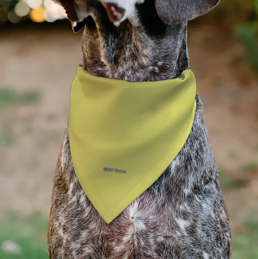 Pet Bandana - SpongeBob SquarePants NORMAL IS BORING Pose Yellows