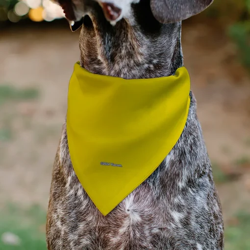 Pet Bandana - SpongeBob SquarePants and Friends SOAK UP POSITIVITY Pose Yellow