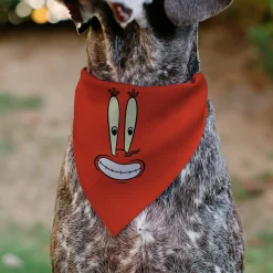 Pet Bandana - SpongeBob SquarePants Mr. Krabs Character Close-Up Red