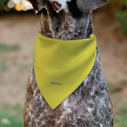 Pet Bandana - SpongeBob SquarePants SPSP $B Chain Pose Yellow