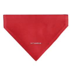 Pet Bandana - Star Wars DARTH VADER Face and Text Flame Red/Black/White