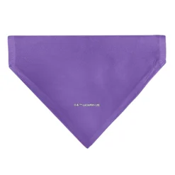 Pet Bandana - Star Wars EWOK Text and Wicket Pop Art Pose Orange/Purples/Black