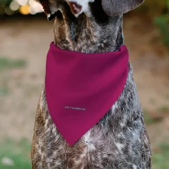 Pet Bandana - Star Wars R2-D2 Text and Pop Art Pose Red/Black/Blue