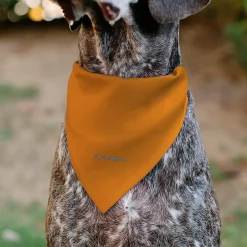 Pet Bandana - Star Wars REBEL Text and Rebel Alliance Insignia Orange/Red/Yellow