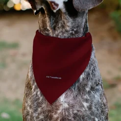Pet Bandana - Star Wars TROOPER Text and Stormtrooper Pop Art Pose Reds/Black