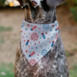 Pet Bandana - Stars and Stripes Fireworks White/Blue/Red