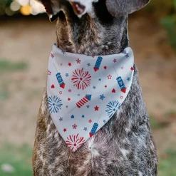 Pet Bandana - Stars and Stripes Fireworks White/Blue/Red