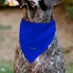 Pet Bandana - Superman Shield Logo Blue/Red/Yellow