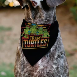 Pet Bandana - Teenage Mutant Ninja Turtles TEAM TURTLES Group Pose Black/Red