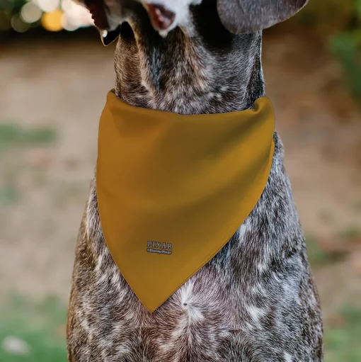 Pet Bandana - Up Dug Pose and Wilderness Explorer Badge Orange