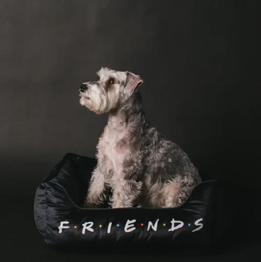 Pet Bed - FRIENDS Black White Multi Color