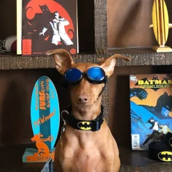 Plastic Clip Collar - Batman Shield Black/Yellow