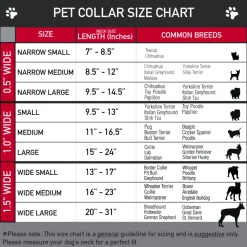 Plastic Clip Collar - Road Runner Expressions Stacked