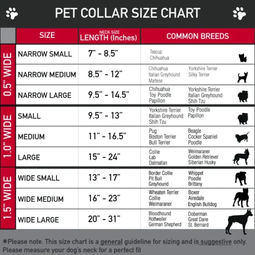 Plastic Clip Collar - Road Runner/Wile E. Coyote Expressions Stacked Black