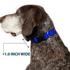 Plastic Clip Collar - Superman Shield Blue