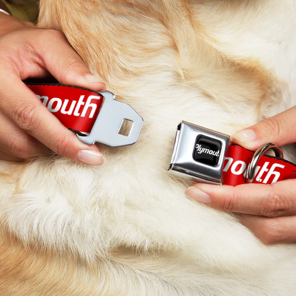 PLYMOUTH Text Logo Full Color Black/White Seatbelt Buckle Collar - PLYMOUTH Text Logo Red/White