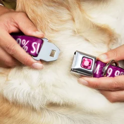 Princess Gem Full Color Fuchsia Seatbelt Buckle Collar - I'M 99.9% SURE I'M A DISNEY PRINCESS Pinks/White