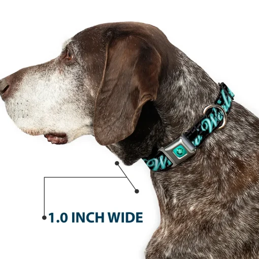 Princess Gem Full Color Turquoise Seatbelt Buckle Collar - Aladdin A WHOLE NEW WORLD/Story Script