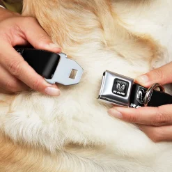 Ram Shield Logo Full Color Black/White Seatbelt Buckle Collar - RAM Shield Logo/Bold Text Black/White