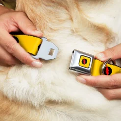 Reverse Flash Logo Full Color Golden Yellow Black Red Seatbelt Buckle Collar - Reverse Flash Logo Golden Yellow/Black/Red