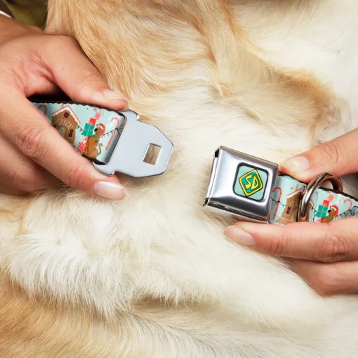 Scooby Doo SD Dog Tag Baby Blue Seatbelt Buckle Collar - Scooby Doo Holiday Scenes and Icons Baby Blue