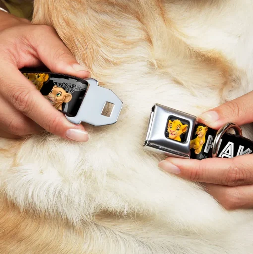 Simba2 CLOSE-UP Full Color Seatbelt Buckle Collar - Lion King Simba & Nala HAKUNA MATATA