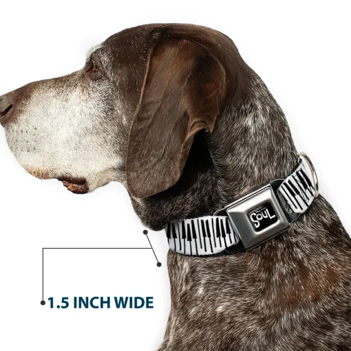 SOUL Text Logo Full Color Black/White Seatbelt Buckle Collar - Soul Piano Keys White/Black