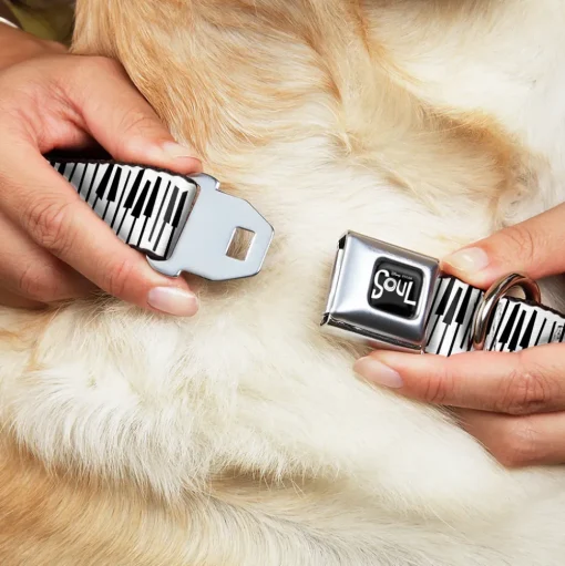 SOUL Text Logo Full Color Black/White Seatbelt Buckle Collar - Soul Piano Keys White/Black