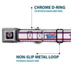 Space Jam Tune Squad Icon Full Color Black/Red/Blue Seatbelt Buckle Collar - Space Jam TUNE SQUAD Logo Stripe White/Red/Blue