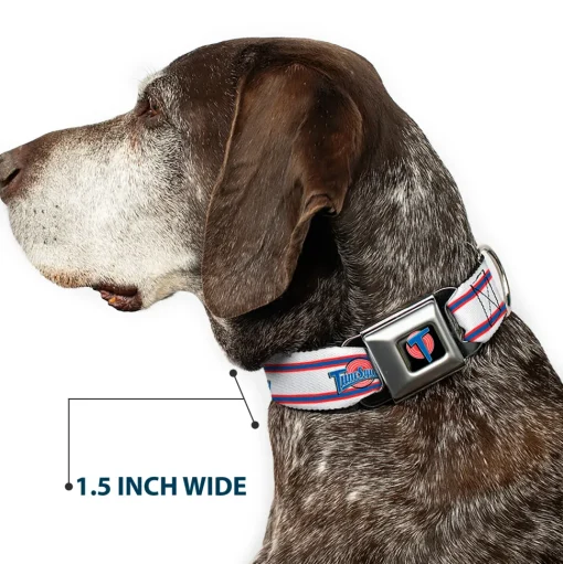 Space Jam Tune Squad Icon Full Color Black/Red/Blue Seatbelt Buckle Collar - Space Jam TUNE SQUAD Logo Stripe White/Red/Blue