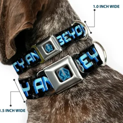 Space Ranger SR Logo Full Color Black/Blue Seatbelt Buckle Collar - Buzz Poses/Stars TO INFINITY AND BEYOND Black/Blues