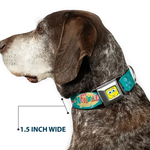 Sponge Bob Face CLOSE-UP Full Color Seatbelt Buckle Collar - Patrick, SpongeBob & Gary NOT NORMAL Aqua
