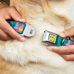 Sponge Bob Face CLOSE-UP Full Color Seatbelt Buckle Collar - Patrick, SpongeBob & Gary NOT NORMAL Aqua