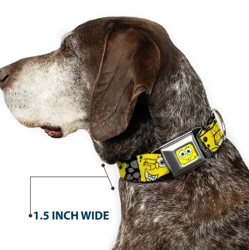 SpongeBob Face CLOSE-UP Full Color Seatbelt Buckle Collar - SpongeBob 4-CLOSE-UP Expressions/Crackle Black/Gray/Yellow