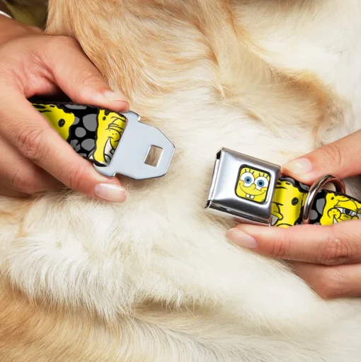 SpongeBob Face CLOSE-UP Full Color Seatbelt Buckle Collar - SpongeBob 4-CLOSE-UP Expressions/Crackle Black/Gray/Yellow