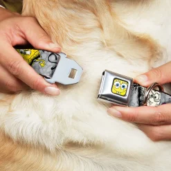 SpongeBob Face CLOSE-UP Full Color Seatbelt Buckle Collar - SpongeBob 3-Poses SPONGEITUDE Grays/Black