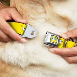 SpongeBob Face CLOSE-UP Full Color Seatbelt Buckle Collar - SpongeBob Expressions Yellow
