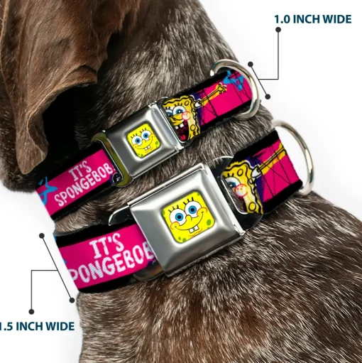 SpongeBob Face CLOSE-UP Full Color Seatbelt Buckle Collar - SpongeBob Pose IT'S SPONGEBOB! Stripe Black/Pink/Blue/White