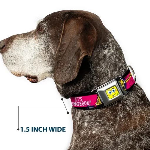 SpongeBob Face CLOSE-UP Full Color Seatbelt Buckle Collar - SpongeBob Pose IT'S SPONGEBOB! Stripe Black/Pink/Blue/White