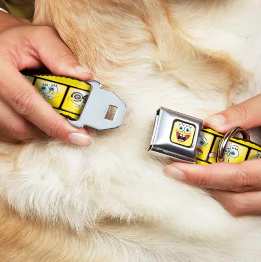SpongeBob Open Mouth Smile Full Color Seatbelt Buckle Collar - SpongeBob 10-Expressions Filmstrip Yellows/Black/White