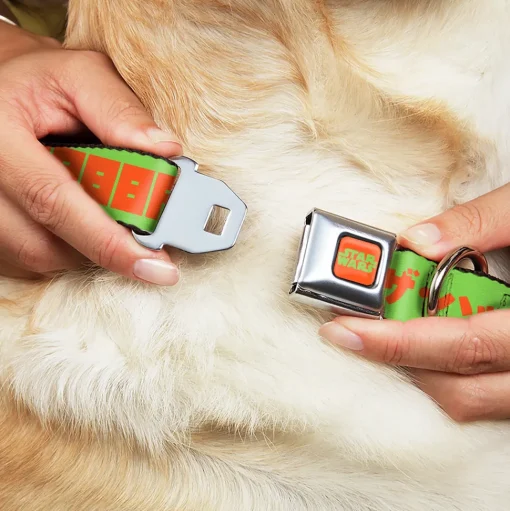 STAR WARS Logo Full Color Orange/Green Seatbelt Buckle Collar - Star Wars JABBA THE HUTT Text and Characters Green/Orange