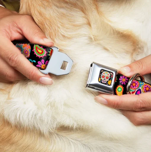 Sugar Skull Starburst Full Color Black/Multi Color Seatbelt Buckle Collar - Bobo Sugar Skull/Paisley Black/Multi Color