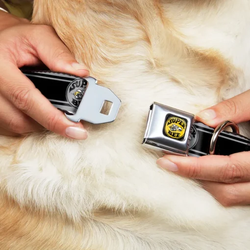 SUPER BEE Logo Full Color Black/Yellow/White Seatbelt Buckle Collar - SUPER BEE Logo/Stripes Black/Gray/Yellow/White