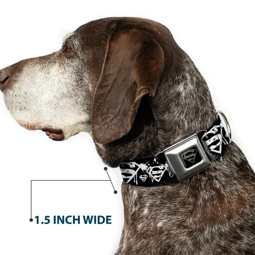 Superman Black Silver Seatbelt Buckle Collar - Superman Shield Splatter Black/White