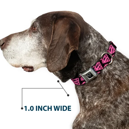 Superman Black Silver Seatbelt Buckle Collar - Diagonal Superman Logo w/Hearts Black/Pink