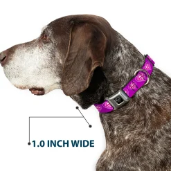 Superman Black Silver Seatbelt Buckle Collar - Superman Logo in Heart Purple/White/Pink