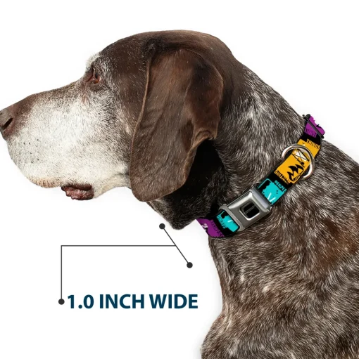 SUPERNATURAL-JOIN THE HUNT Full Color Black/White Seatbelt Buckle Collar - Supernatural SAVING PEOPLE-HUNTING THINGS-FAMILY BUSINESS Blocks Black/Teal/Gold/Purple/White