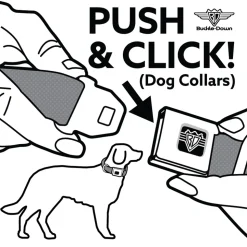 SUPERNATURAL-JOIN THE HUNT Full Color Black/White Seatbelt Buckle Collar - Supernatural JOIN THE HUNT/Symbols Scattered Reds/White
