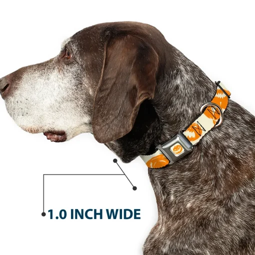 The Nightmare Before Christmas Pumpkin Ivory/Orange Seatbelt Buckle Collar - The Nightmare Before Christmas Jack Pose and Pumpkins Collage Ivory/Orange/Black