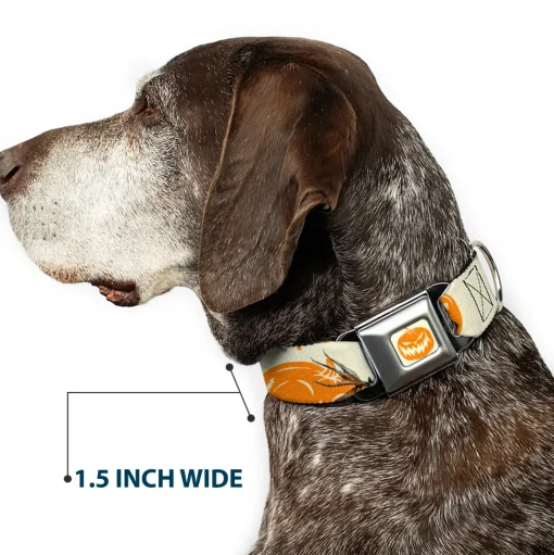 The Nightmare Before Christmas Pumpkin Ivory/Orange Seatbelt Buckle Collar - The Nightmare Before Christmas Jack Pose and Pumpkins Collage Ivory/Orange/Black